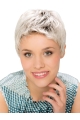 6" Cropped Straight Modern Monofilament Grey Wigs