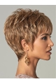 Hairstyles Brown Straight Cropped Wigs