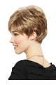 Monofilament Popular Boycuts Straight Short Wigs