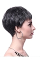 Black Straight Synthetic Cool Short Wigs