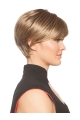 Monofilament Top Boycuts Straight Short Wigs