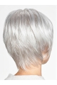 Chin Length Monofilament Grey Straight 10" Synthetic Beautiful Medium Wigs