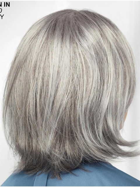 Straight Chin Length 12" Monofilament Sassy Grey Wigs