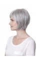 Fashionable Straight Chin Length Synthetic Grey Wigs