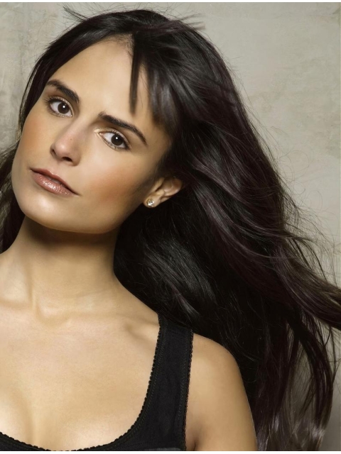 18'' Long Layered Straight Capless Synthetic Women Jordana Brewster Wigs