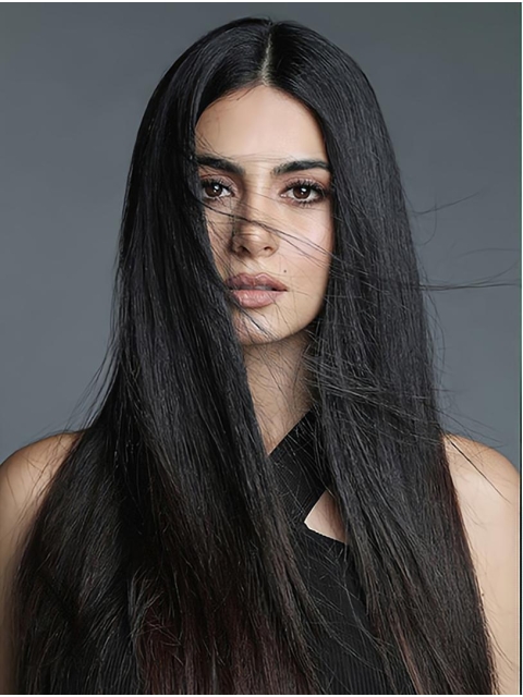 22" Straight  Long Lace Front  Black Without Bangs Synthetic Women Emeraude Toubia Wigs