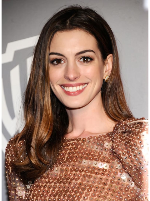 20''Incredible Brown Straight Without Bangs 100% Hand-Tied Mono Top Long Synthetic Women Anne Hathaway Wigs