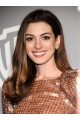 20''Incredible Brown Straight Without Bangs 100% Hand-Tied Mono Top Long Synthetic Women Anne Hathaway Wigs