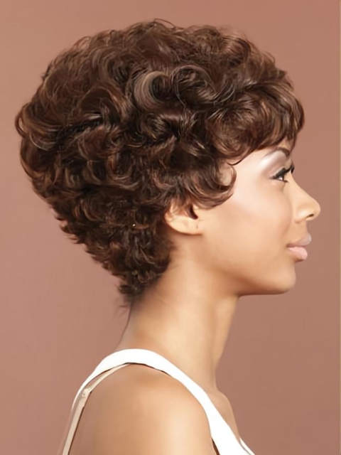 Perfect Brown Curly Short African American Capless Wigs For Black Women