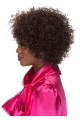 Curly Synthetic Impressive Short Wigs