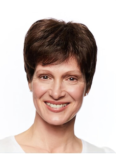 Short Monofilament Straight Brown Wigs For Women