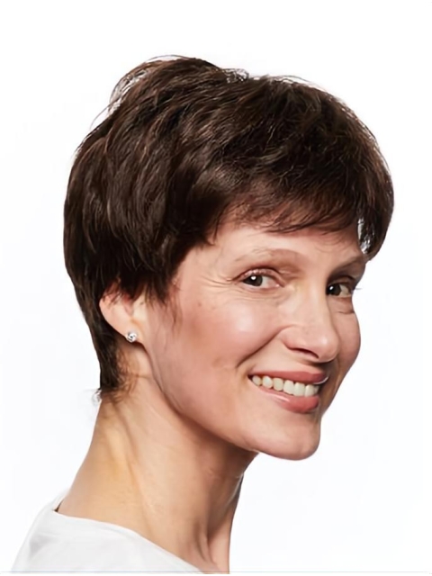 Short Monofilament Straight Brown Wigs For Women