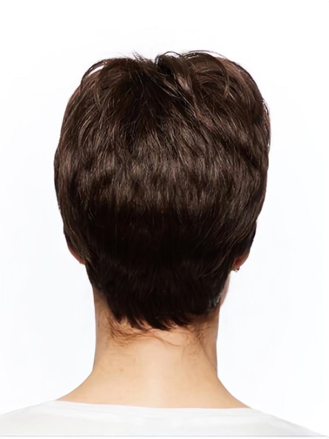 Short Monofilament Straight Brown Wigs For Women