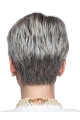 New Short Straight 4" Grey Wigs