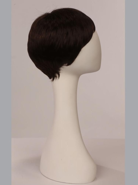 Full Lace Grey Straight Short Boycuts Wigs