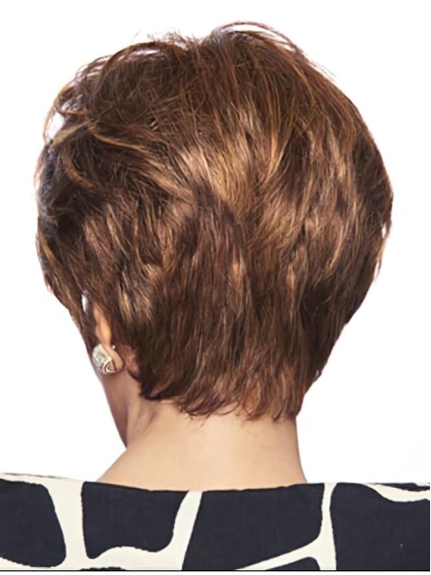 Gorgeous Monofilament Straight Brown Short Wigs