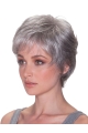 Stylish Straight Short Synthetic Grey Wigs