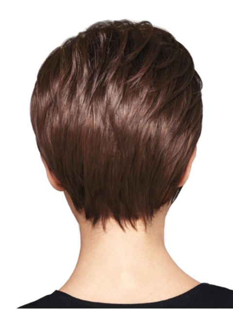 Discount Monofilament Layered Straight Short Wigs