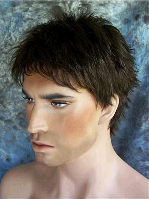 Polite Black Straight Short Capless Synthetic Men Wigs