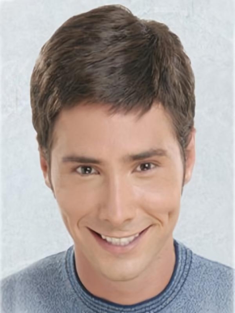 Mature Brown Straight Short Lace Front Synthetic Men Wigs