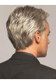 New Arrival 6" Wavy  Short Synthetic Grey Men Wigs