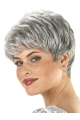 Hairstyles Wavy Short Capless Synthetic Grey Women Wigs