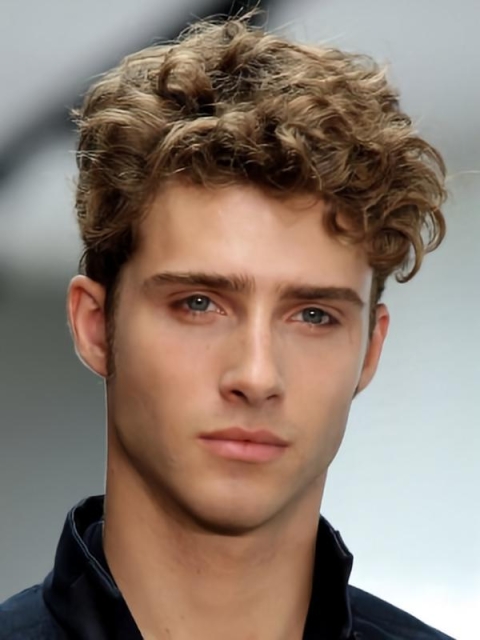 No-fuss Brown Wavy Short Capless Synthetic Men Wigs