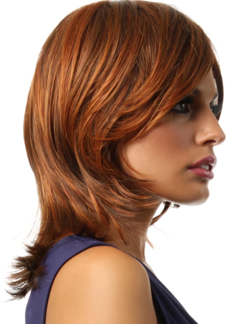 Synthetic Straight Shoulder Length Layered Lace Front Style Wigs